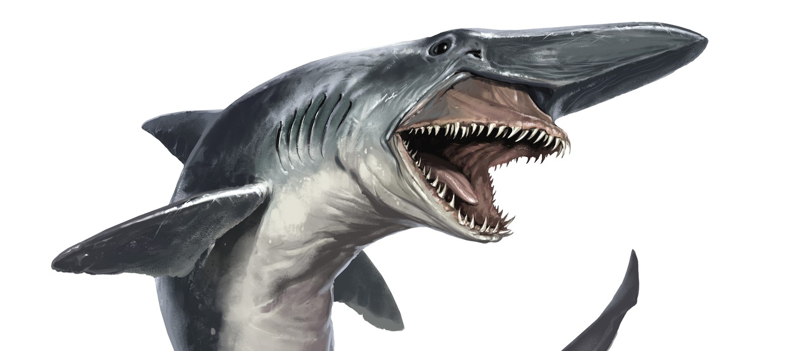 Nature got weird: 10 strange animals that look unreal